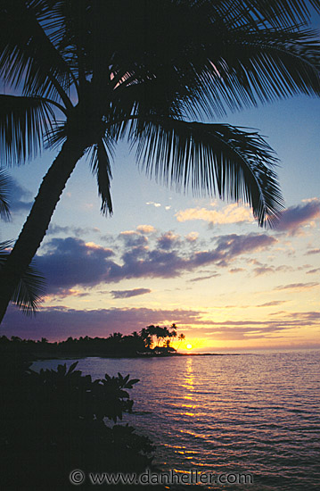 The image “http://www.danheller.com/images/Hawaii/palm-sunset04-big.jpg<br class=